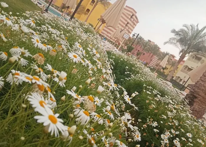 Porto South عائلات فقط
