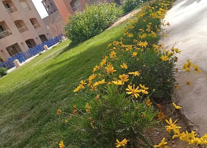 Porto South عائلات فقط Apart Otel Ain Sukhna